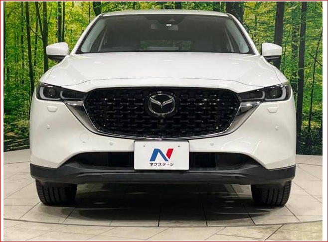 Car image 8