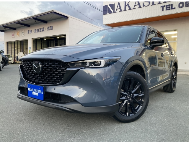 Car image 1