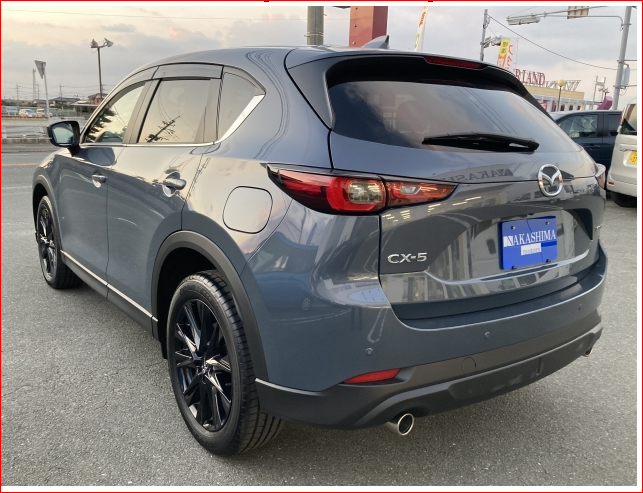 Car image 15