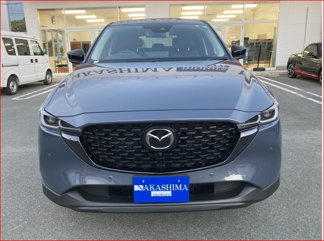 Car image 16