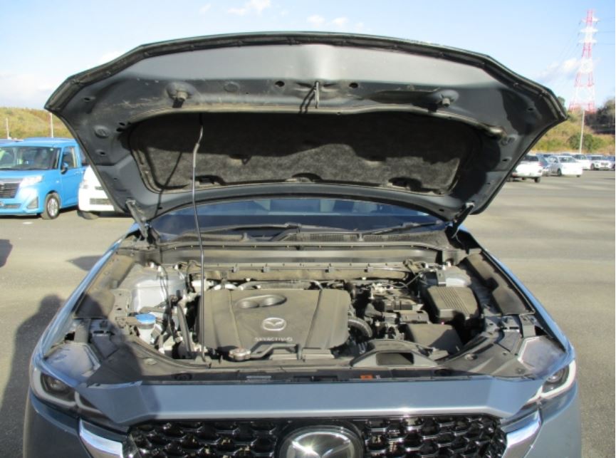 Car image 13